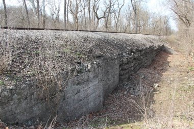 Taş platformlu bir sonbahar ormanı manzarası.
