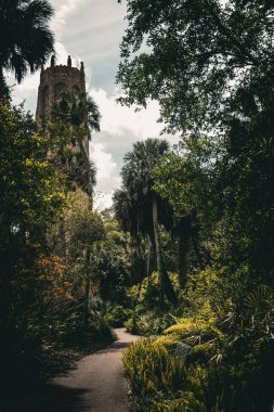 Bok Kulesi Bahçeleri 'ndeki patikanın dikey görüntüsü. Florida, ABD.