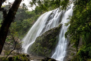 Tayland 'ın tropikal ormanlarındaki şelaleden akan ipek bir su.