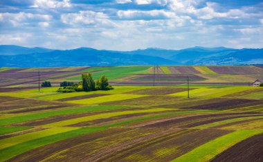 Baharda ekilmiş arazileri olan bir manzara.