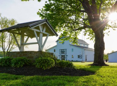 Güzel ormandaki beyaz bir evin alçak açılı görüntüsü.