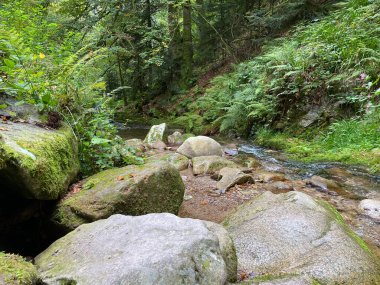 Kayalık bir nehrin güzel bir görüntüsü