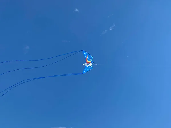Ein Tiefflug Des Fliegenden Ponydrachen Himmel — Stockfoto