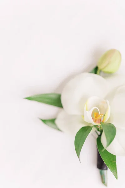 Uma Vista Vertical Superior Uma Orquídea Branca Com Folhas Verdes — Fotografia de Stock