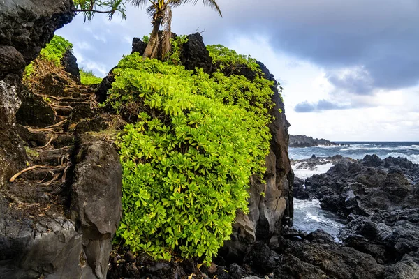 Ancient Starcase Carved Black Volcanic Rock Piilani Trail Maui Hawaii — Stock Photo, Image