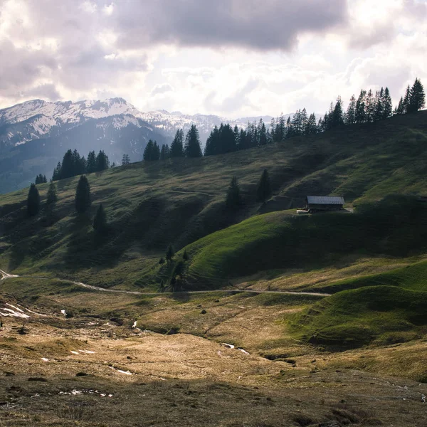 Naturalny Krajobraz Alpejskiego Zielonego Wzgórza Pobli Snowy Góry Pod Zachmurzonym — Zdjęcie stockowe