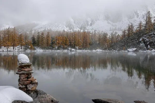 Прекрасный Зимний Пейзаж Альпийским Озером Окружении Деревьев — стоковое фото