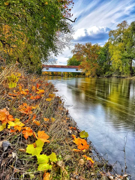 Eine Vertikale Aufnahme Von Herbstblättern Entlang Des White River Und — Stockfoto