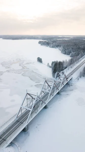 Pionowe Ujęcie Zimowego Krajobrazu Mostem Vihantasalmi Lasem Finlandia — Zdjęcie stockowe