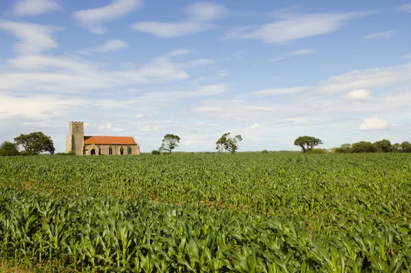 背景に家がある緑の畑の美しい景色 — ストック写真