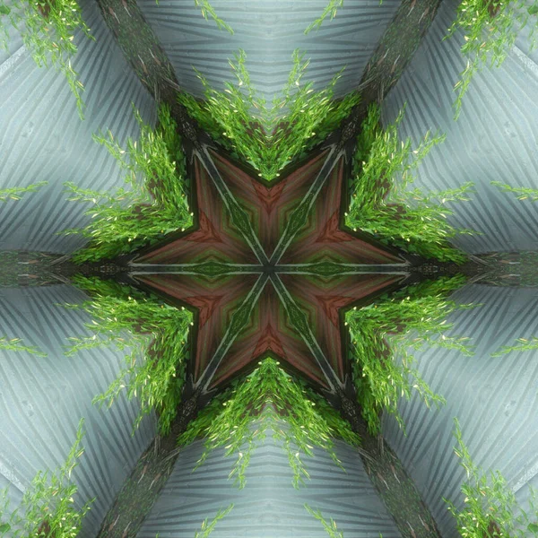 Adorno Fresco Encantador Abstracto Sin Costuras Fondo Verde Marrón Con —  Fotos de Stock