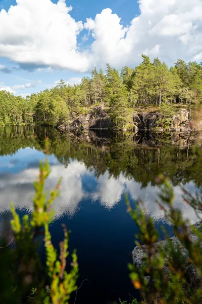 Μια Λίμνη Ένα Δάσος Στη Σουηδία Μια Ηλιόλουστη Μέρα — Φωτογραφία Αρχείου