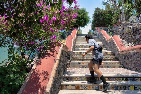 Callejon Calzada Los Ancestros Pueblito Queretaro México — Fotografia de Stock