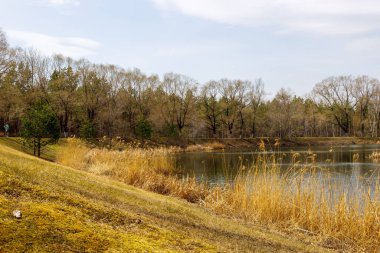 Çin 'de sonbahar mevsiminde ormanın ortasında küçük bir göl manzarası.