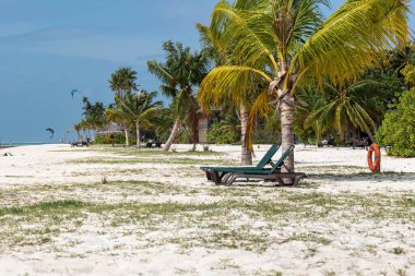 Güneşli bir sabahta sandalyeleri ve palmiyeleri olan kumlu bir sahil.