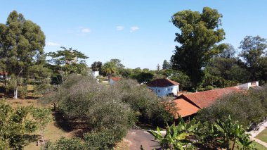 Yeşil ağaçlar, Araraquara, Sao Paulo, Brezilya çevresindeki yerleşim yerlerinin çatılarının üst görüntüsü.