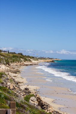 Güzel bir sahilin dikey görüntüsü. Gün ışığında çimen büyüyen ve sakin bir deniz.