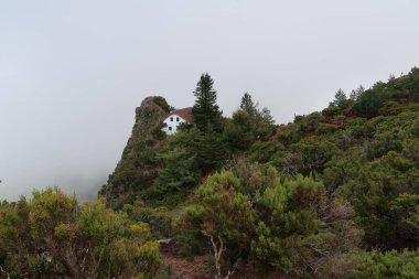 Portekiz, Madeira 'da Pico Ruivo ve Pico Arierio arasındaki kral patikası boyunca engebeli bir dağ manzarası.