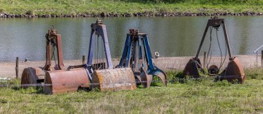 Bir grup midye kabuğu nehir kıyısında kova kazıyor.