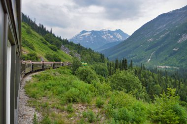 Pek çok vagonu olan bir tren dağlık bölgede yol kenarında pek çok ağacı olan bir yere gider.