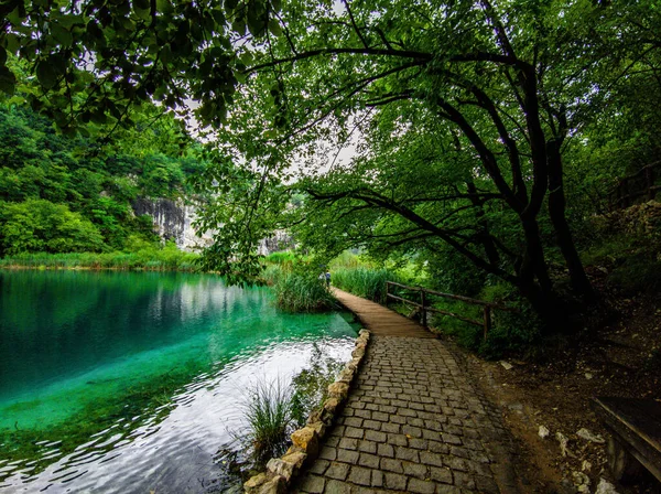 Hırvatistan Orta Kesimindeki Plitvice Gölleri Ulusal Park Rezervi — Stok fotoğraf