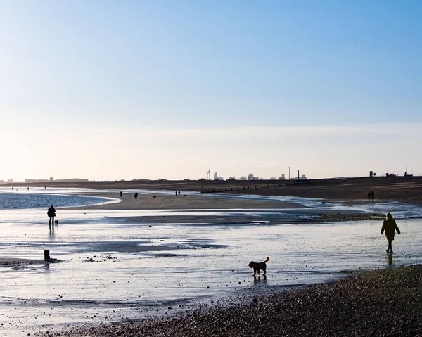 Orang Orang Berjalan Pantai Berpasir Melawan Langit Biru — Stok Foto
