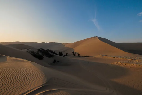 在秘鲁 在晴朗的天空下 有沙丘和灌木的沙漠中 白天的风景 — 图库照片