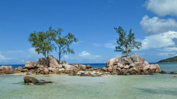 Praslin Adası Ndaki Anse Boudin Plajında Ağaçlarla Dolu Güzel Bir — Stok fotoğraf
