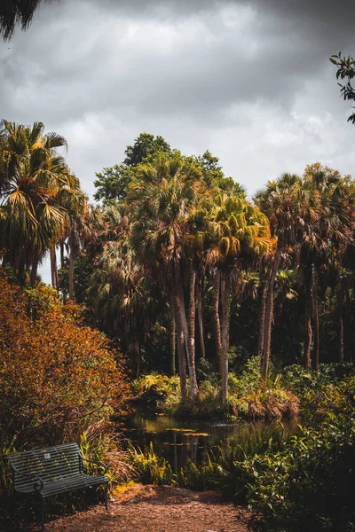 Bok Kulesi Bahçeleri 'ndeki güzel yaz manzarasının dikey görüntüsü. Florida, ABD.