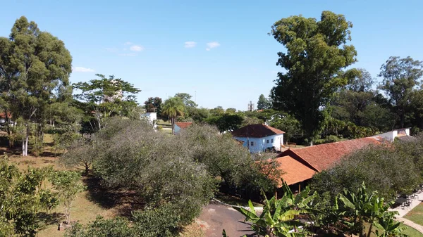 Yeşil ağaçlar, Araraquara, Sao Paulo, Brezilya çevresindeki yerleşim yerlerinin çatılarının üst görüntüsü.