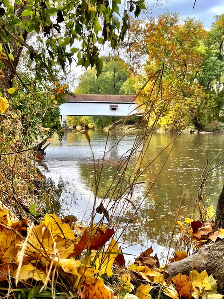 落ち葉の垂直ショットとインディアナ州の秋の美しいポッター屋根付きの橋 — ストック写真