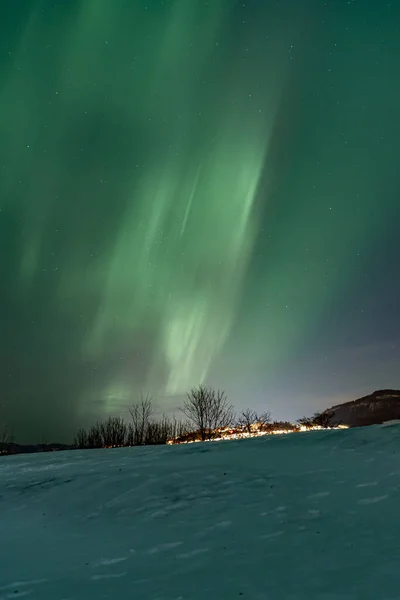 在挪威特隆赫姆的一座山上 一道垂直拍摄的明亮的绿色北极光 — 图库照片