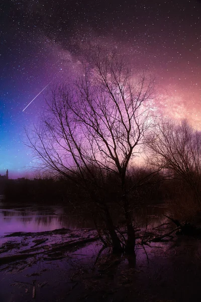 Vertikální Záběr Magického Výhledu Hvězdnou Mléčnou Dráhu Siluetami Stromů Pod — Stock fotografie