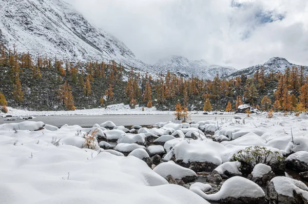 Hermoso Paisaje Invierno Con Lago Alpino Rodeado Árboles — Foto de Stock