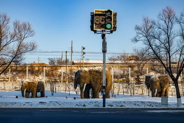 Beautiful View Elephants Shape Status Next Green Traffic Light Snowy — Stock Photo, Image