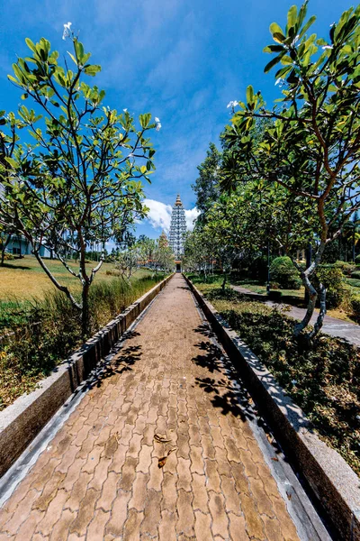 Gün Boyunca Bir Parktaki Patikanın Dikey Görüntüsü — Stok fotoğraf