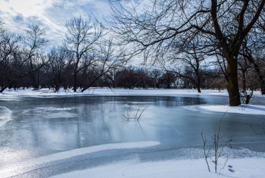 Ağaçlarla çevrili donmuş göl manzarası.