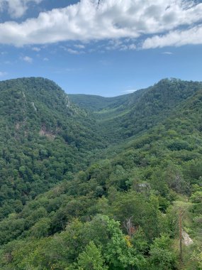 Ağaçlar ve bitkilerle kaplı bazı dağların dikey görüntüsü..