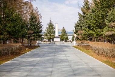 Yan tarafındaki büyük ağaçlarla Çin 'in ortasında bir heykel arasında güzel bir yol manzarası.