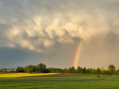 Gökkuşağının altında bir tarım alanı