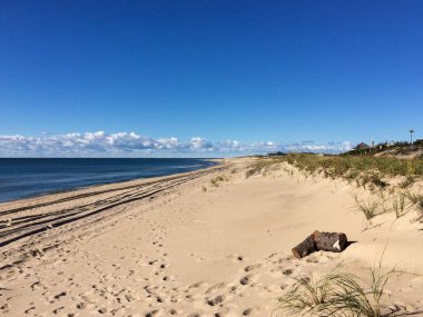 Mavi gökyüzünde lastik izleri ve ayak izleri olan kumlu kıyı şeridi manzarası.
