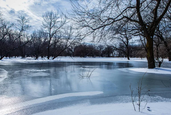 Ağaçlarla çevrili donmuş göl manzarası.