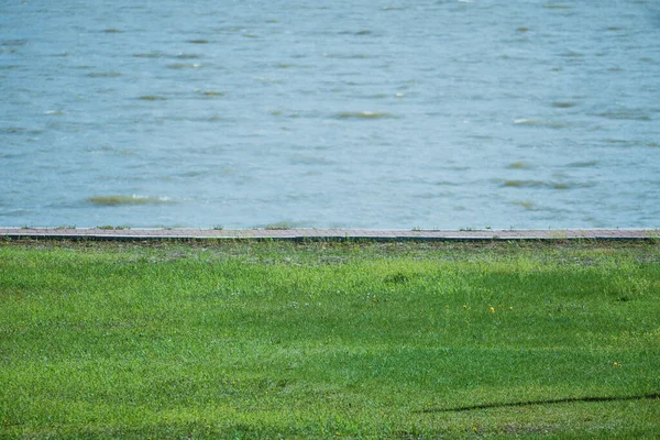 Göl ve çimenleri paylaşan çizgi, yeşil ve mavi