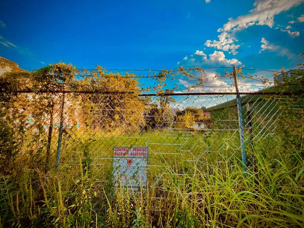 Üzerinde mavi gökyüzünün altında bir tabela olan çimlerle kaplı bir çit.