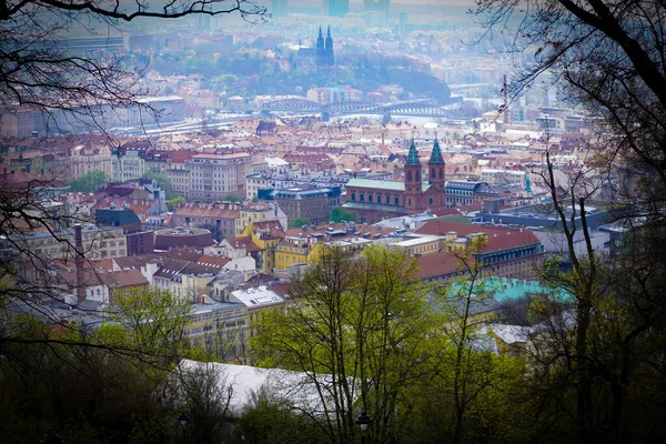 Een Ver Uitzicht Een Stadsgezicht Van Praag Met Oude Historische — Stockfoto