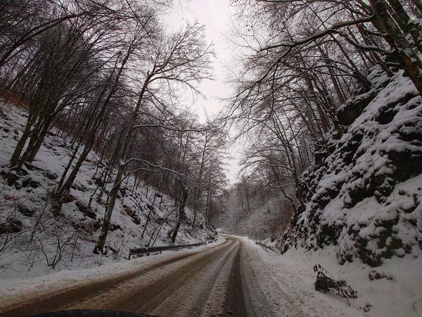 Snöig Väg Med Djärv Skog Båda Sidor — Stockfoto