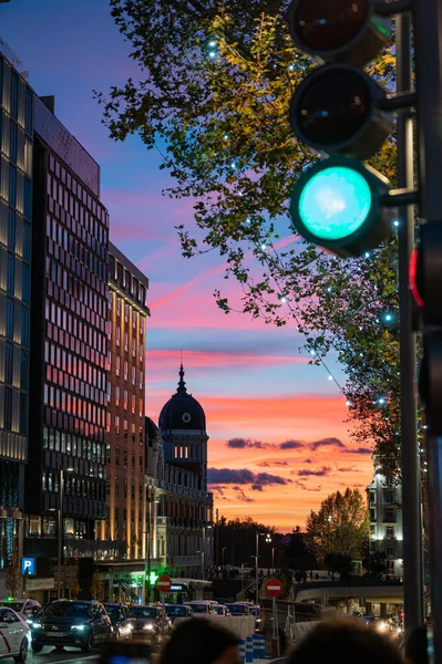 Güzel bir gün batımında şehrin dikey görüntüsü ve yeşil bir trafik ışığı.