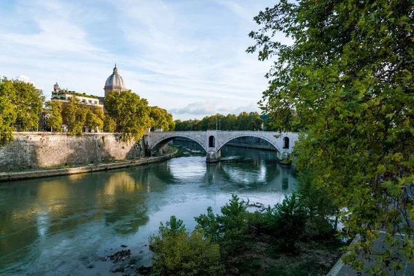 Beautiful View Tiber River Surrounded Trees Building Flower Stony Bridge — Stock Photo, Image