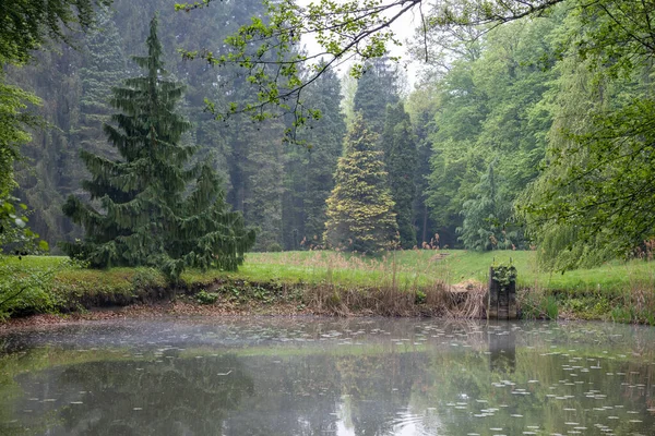 Uma Bela Vista Uma Lagoa Com Árvores Fundo Arboreto Csacs — Fotografia de Stock
