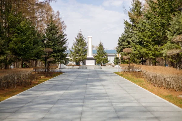 Yan tarafındaki büyük ağaçlarla Çin 'in ortasında bir heykel arasında güzel bir yol manzarası.